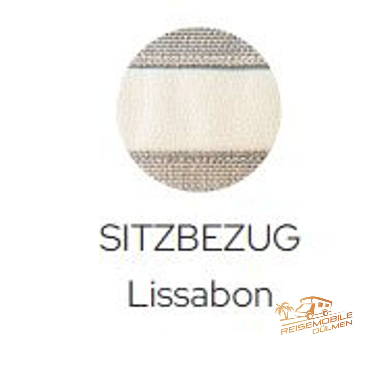 Fahrzeugabbildung Randger R602 Fiat 140 PS Premium-Paket Fiat  RFK Navi